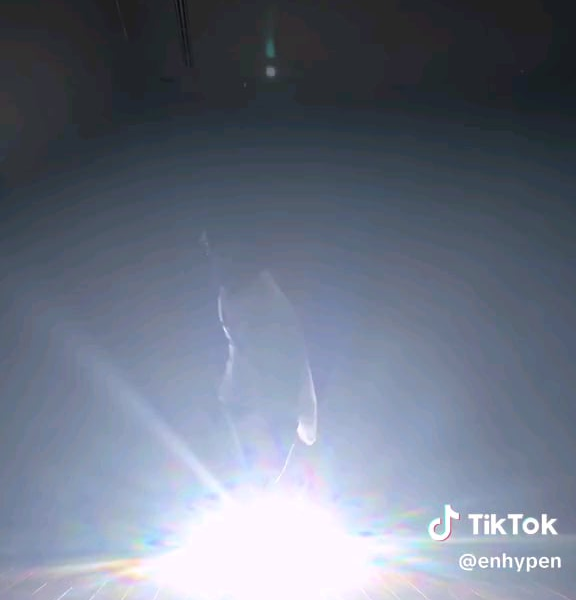 240807 Tiktok: Ni-ki