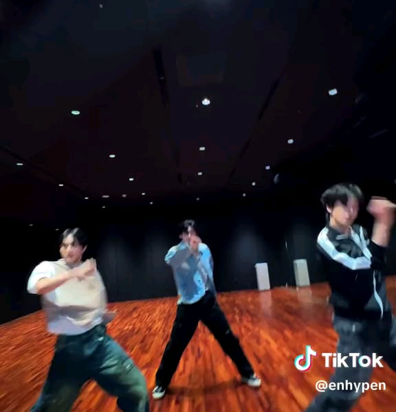 240809 Tiktok: Jungwon, Sunghoon, Jake