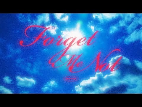 240912 'Forget Me Not' Lyric VCR - ENHYPEN @ 'FATE PLUS' IN JAPAN